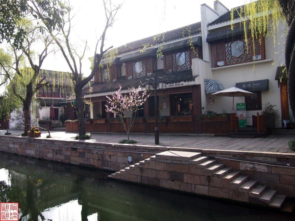 饥饿的哈利
